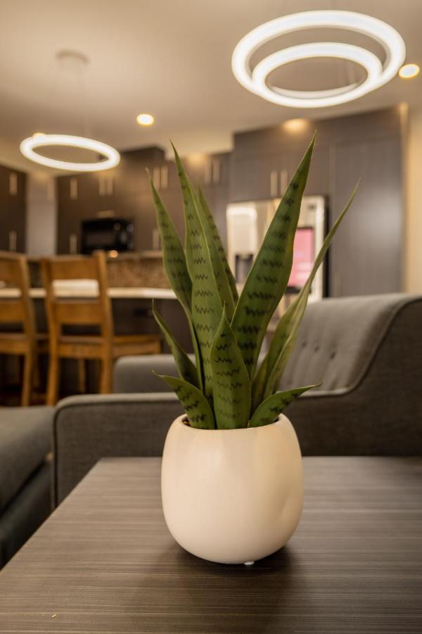 Quality Inn Sunshine Suites Terrace Dış mekan fotoğraf
